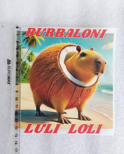 Термонаклейка для одягу, наліпка "Бурбалоні Лулі Лолі, Burbaloni Luli Loli" #0746М-ПР фото
