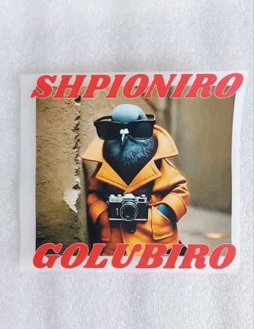 Термонаклейка для одягу, наліпка "Шпіоніро Голубіро, Shpioniro Golubiro" #0736М-ПР фото