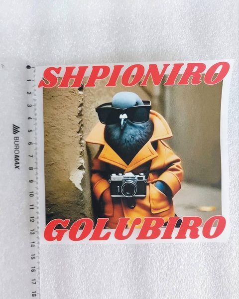 Термонаклейка для одягу, наліпка "Шпіоніро Голубіро, Shpioniro Golubiro" #0736М-ПР фото